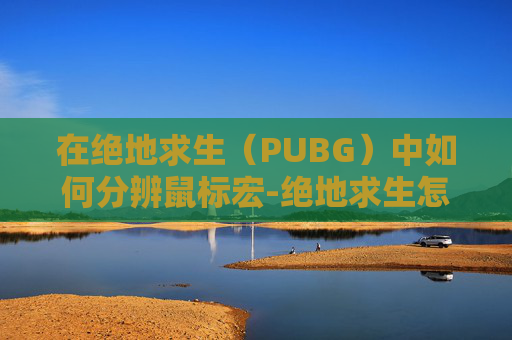 在绝地求生(PUBG)中如何分辨鼠标宏-绝地求生怎么检测鼠标宏 在绝地求生(PUBG)中如何分辨鼠标宏-绝地求生怎么检测鼠标宏