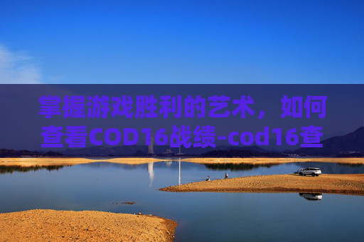 掌握游戏胜利的艺术，如何查看COD16战绩-cod16查看战绩