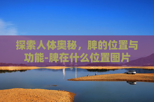 探索人体奥秘,脾的位置与功能-脾在什么位置图片 探索人体奥秘,脾的位置与功能-脾在什么位置图片