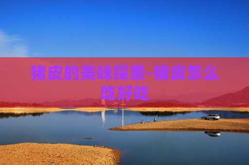 猪皮的美味探索-猪皮怎么吃好吃
