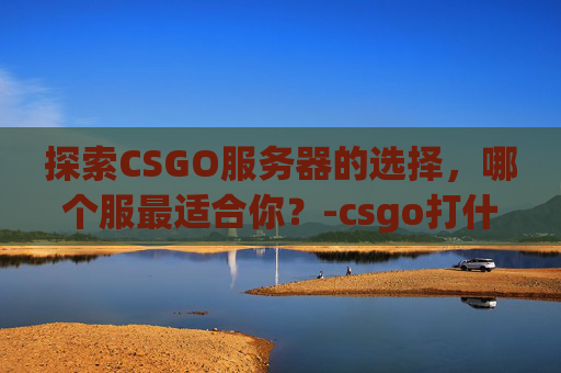 探索CSGO服务器的选择，哪个服最适合你？-csgo打什么服务器好