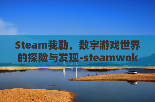 Steam我勒，数字游戏世界的探险与发现-steamwoks