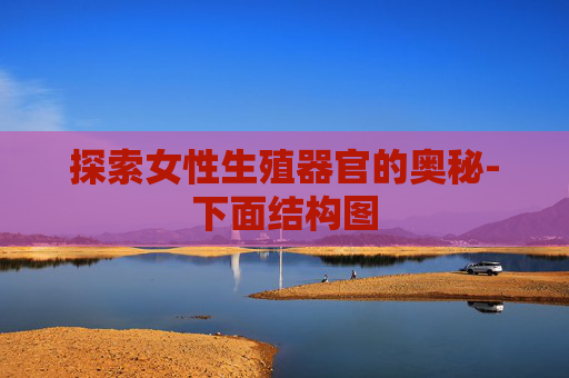 探索女性生殖器官的奥秘-下面结构图