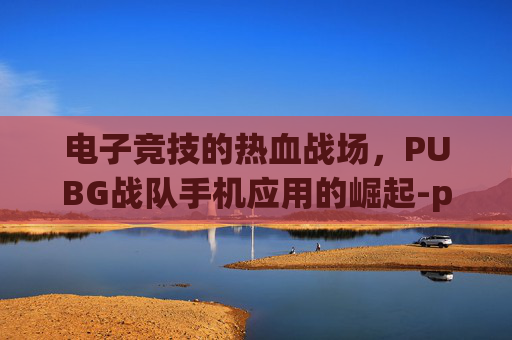 电子竞技的热血战场，PUBG战队手机应用的崛起-pubg手游战队在哪