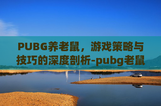 PUBG养老鼠，游戏策略与技巧的深度剖析-pubg老鼠台是什么