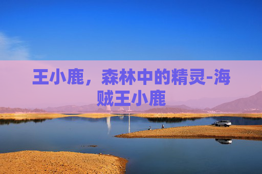 王小鹿，森林中的精灵-海贼王小鹿