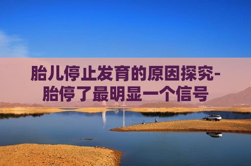 胎儿停止发育的原因探究-胎停了最明显一个信号