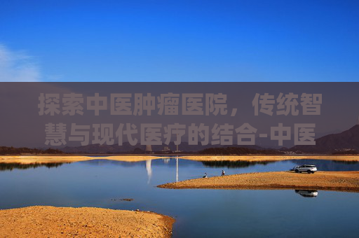 探索中医肿瘤医院，传统智慧与现代医疗的结合-中医肿瘤医院哪家最好