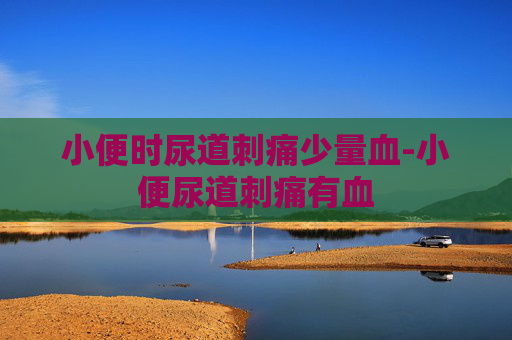 小便时尿道刺痛少量血-小便尿道刺痛有血
