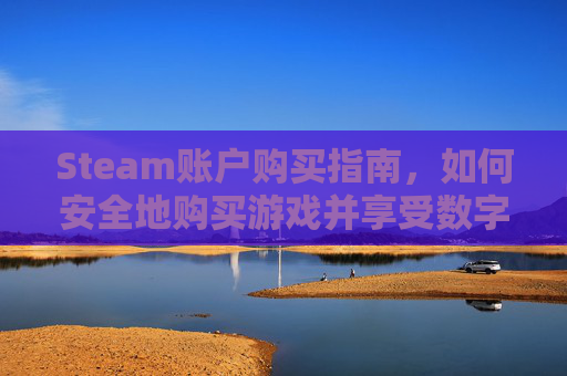 Steam账户购买指南，如何安全地购买游戏并享受数字娱乐-steam购买信息