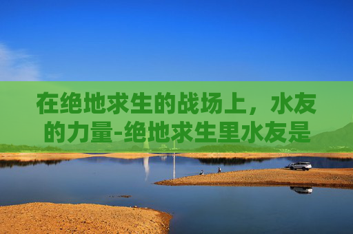 在绝地求生的战场上，水友的力量-绝地求生里水友是什么