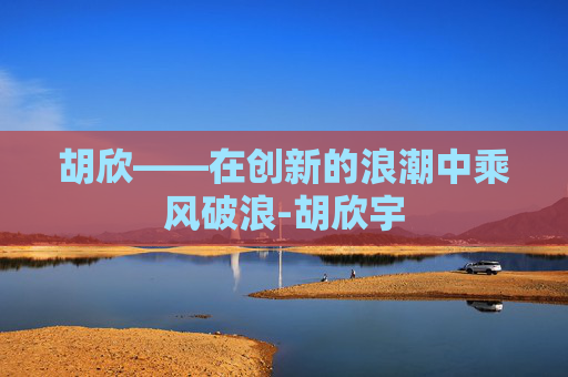 胡欣——在创新的浪潮中乘风破浪-胡欣宇