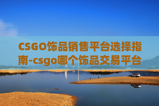 CSGO饰品销售平台选择指南-csgo哪个饰品交易平台好