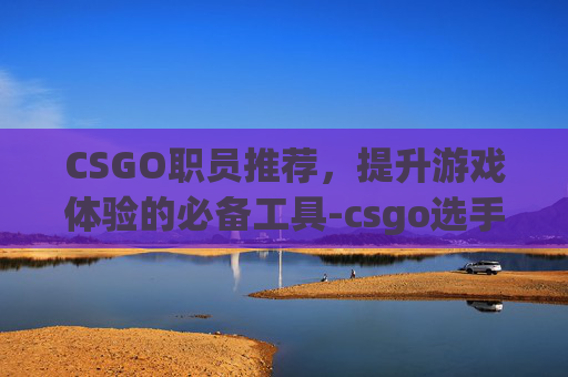 CSGO职员推荐，提升游戏体验的必备工具-csgo选手职位
