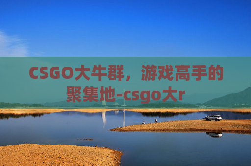 CSGO大牛群，游戏高手的聚集地-csgo大r