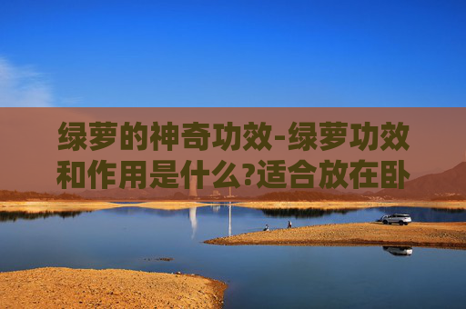 绿萝的神奇功效-绿萝功效和作用是什么?适合放在卧室净化空气吗?