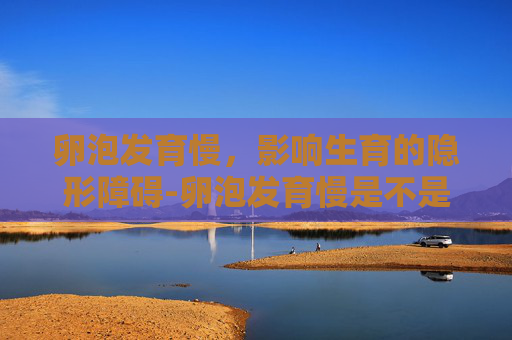 卵泡发育慢，影响生育的隐形障碍-卵泡发育慢是不是质量不好