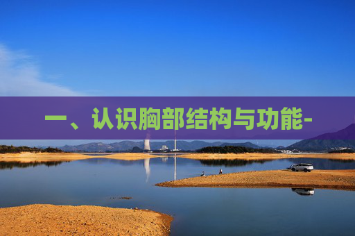 一、认识胸部结构与功能-