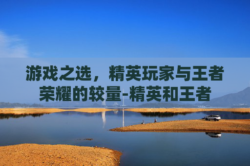 游戏之选，精英玩家与王者荣耀的较量-精英和王者