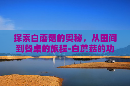 探索白蘑菇的奥秘，从田间到餐桌的旅程-白蘑菇的功效与作用