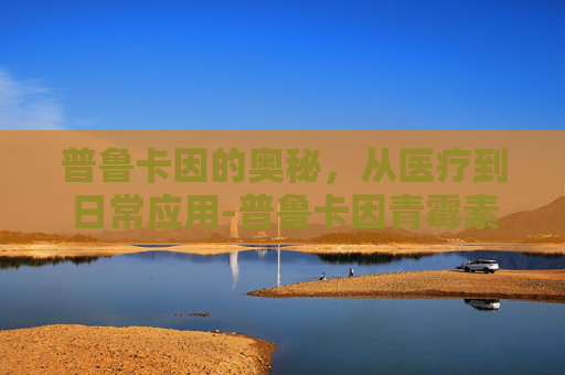普鲁卡因的奥秘，从医疗到日常应用-普鲁卡因青霉素的作用