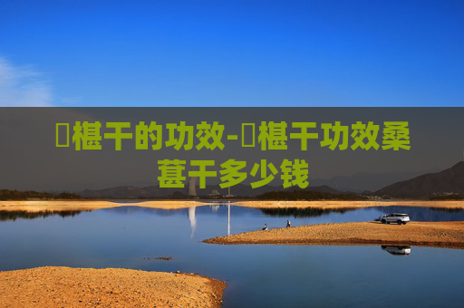 槡椹干的功效-槡椹干功效桑葚干多少钱