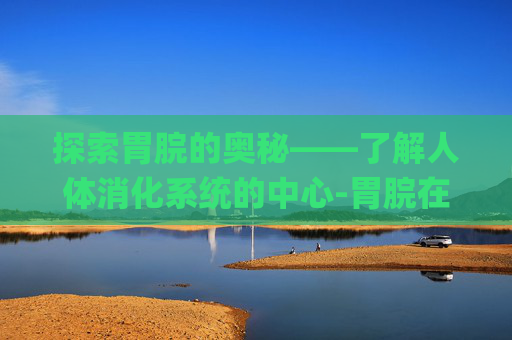探索胃脘的奥秘——了解人体消化系统的中心-胃脘在哪个位置图片 (第1页)