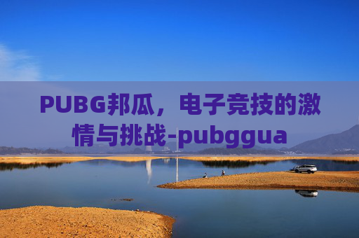 PUBG邦瓜，电子竞技的激情与挑战-pubggua