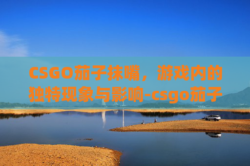 CSGO茄子抹嘴，游戏内的独特现象与影响-csgo茄子窗帘擦嘴图片
