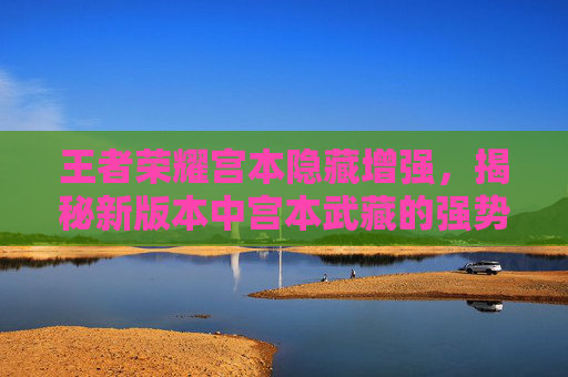王者荣耀宫本隐藏增强，揭秘新版本中宫本武藏的强势回归-王者荣耀宫本隐藏增强怎么设置