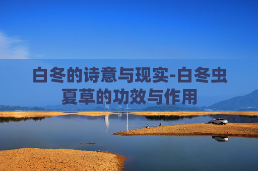 白冬的诗意与现实-白冬虫夏草的功效与作用