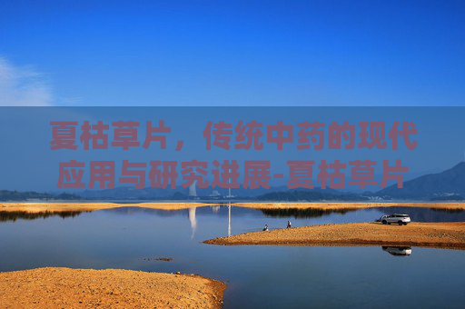 夏枯草片，传统中药的现代应用与研究进展-夏枯草片一次吃几片