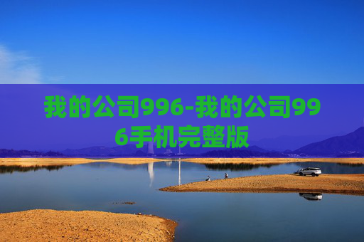 我的公司996-我的公司996手机完整版