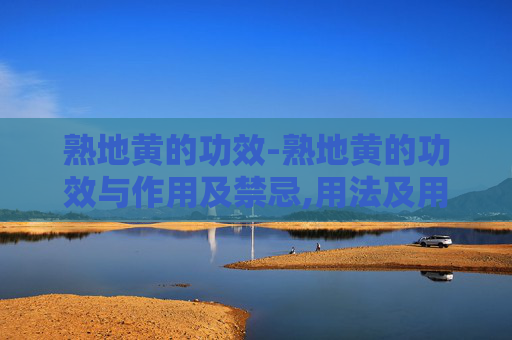 熟地黄的功效-熟地黄的功效与作用及禁忌,用法及用量