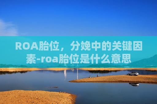 ROA胎位，分娩中的关键因素-roa胎位是什么意思