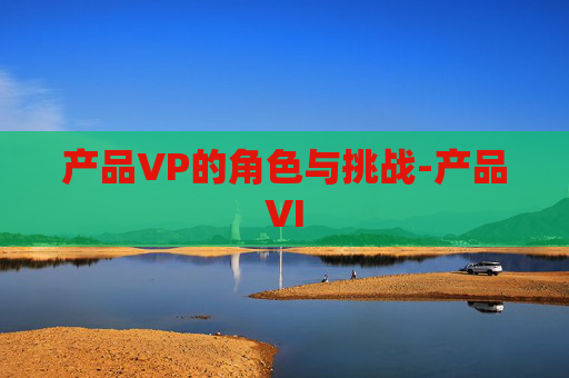 产品VP的角色与挑战-产品VI