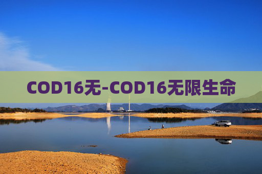 COD16无-COD16无限生命