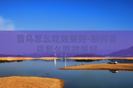首乌怎么吃效果好-制何首乌怎么吃效果好