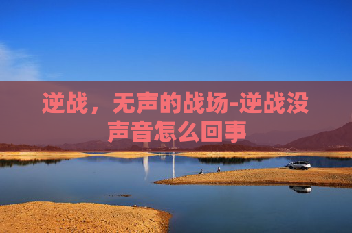 逆战，无声的战场-逆战没声音怎么回事