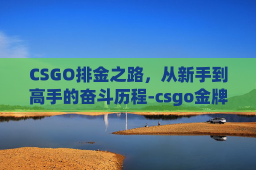 CSGO排金之路，从新手到高手的奋斗历程-csgo金牌是什么