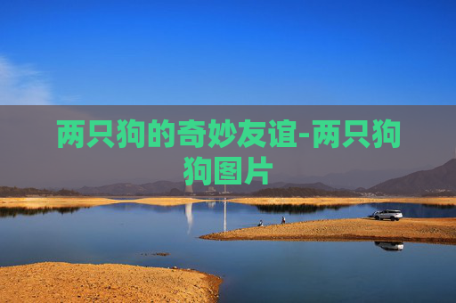 两只狗的奇妙友谊-两只狗狗图片