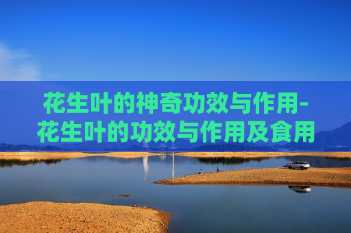 花生叶的神奇功效与作用-花生叶的功效与作用及食用方法
