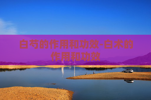 白芍的作用和功效-白术的作用和功效