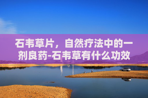 石韦草片，自然疗法中的一剂良药-石韦草有什么功效与禁忌