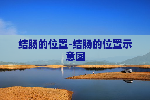 结肠的位置-结肠的位置示意图