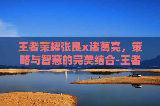 王者荣耀张良x诸葛亮，策略与智慧的完美结合-王者荣耀张良vs诸葛亮