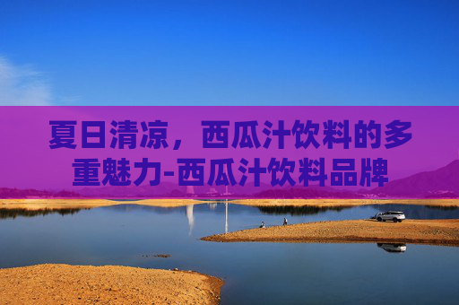 夏日清凉，西瓜汁饮料的多重魅力-西瓜汁饮料品牌