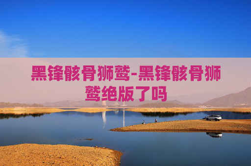 黑锋骸骨狮鹫-黑锋骸骨狮鹫绝版了吗
