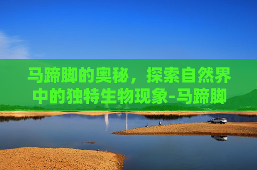 马蹄脚的奥秘，探索自然界中的独特生物现象-马蹄脚是什么原因