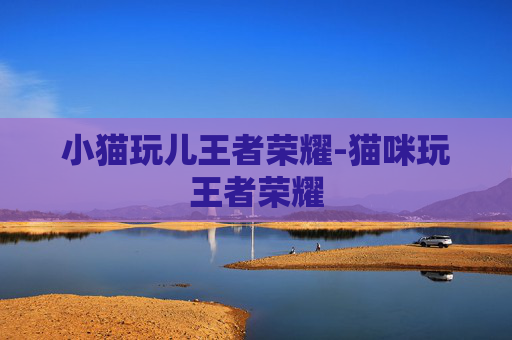 小猫玩儿王者荣耀-猫咪玩王者荣耀